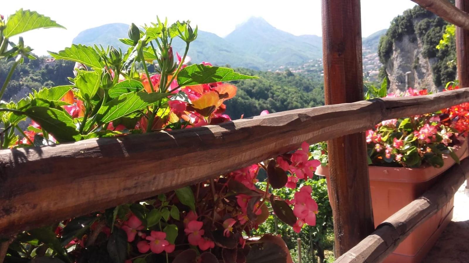 Agriturismo Orrido Di Pino Аджерола Екстер'єр фото