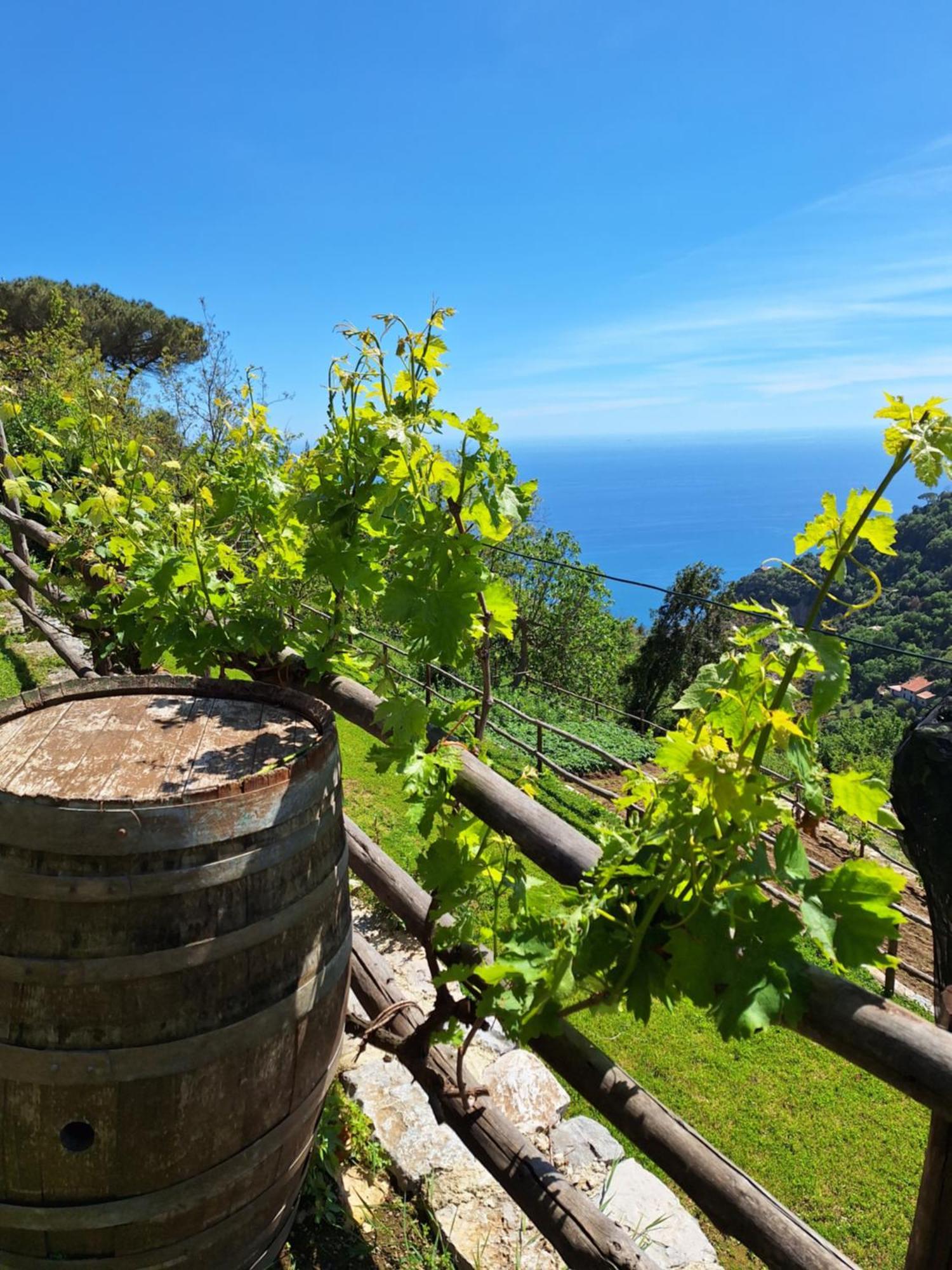 Agriturismo Orrido Di Pino Аджерола Екстер'єр фото