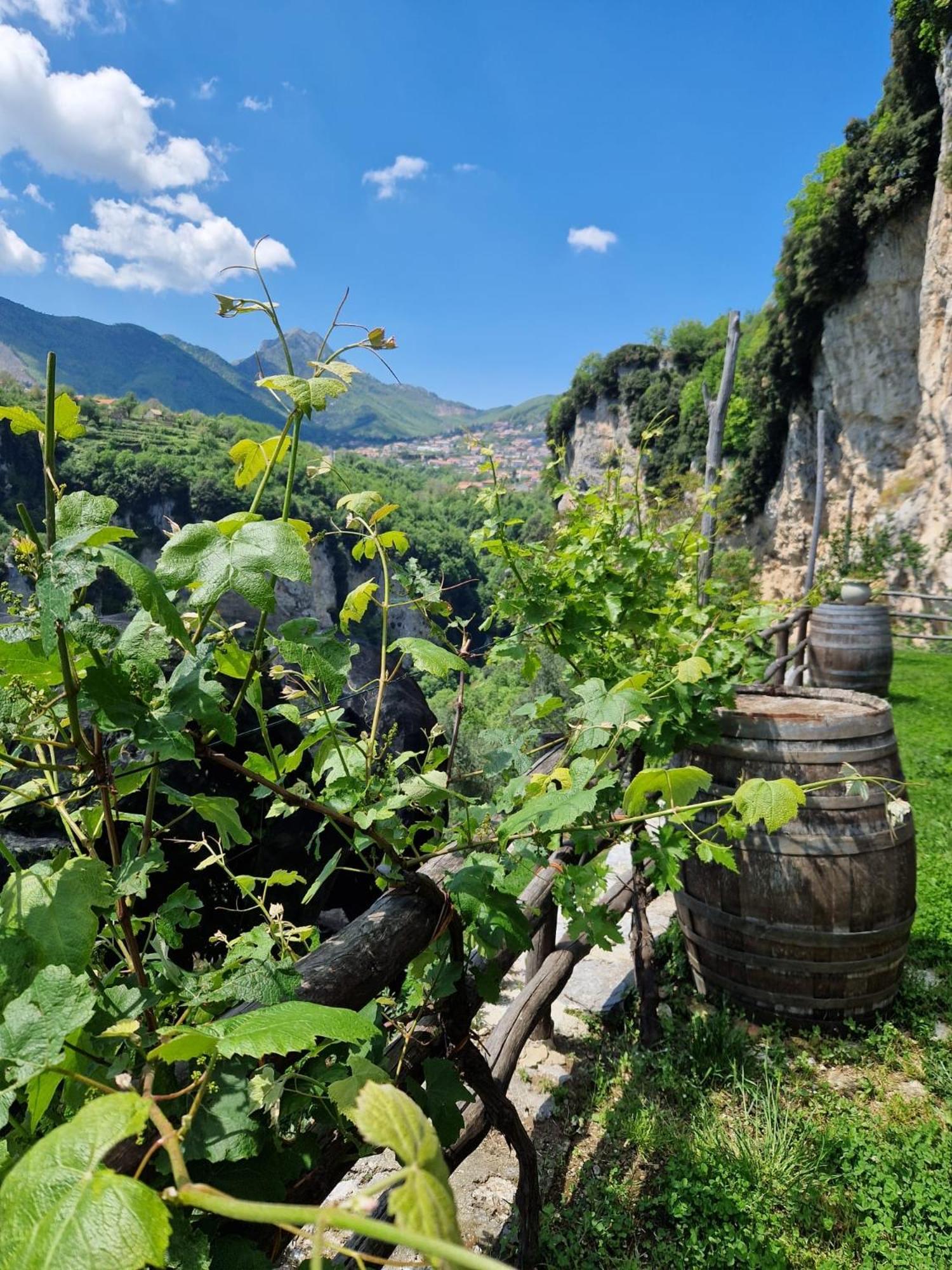 Agriturismo Orrido Di Pino Аджерола Екстер'єр фото