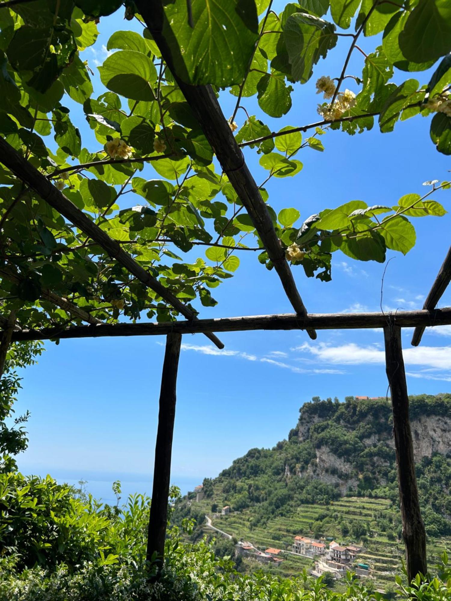Agriturismo Orrido Di Pino Аджерола Екстер'єр фото