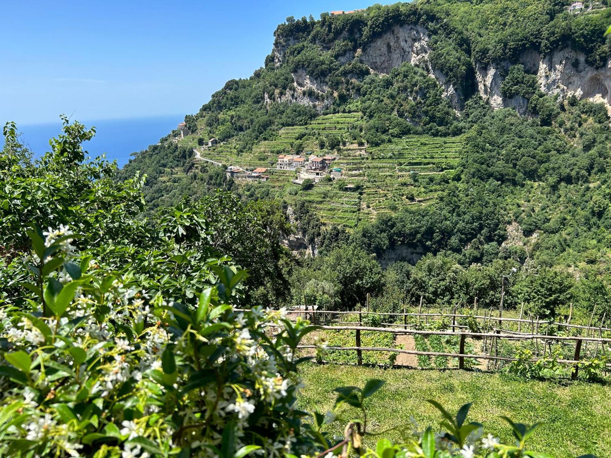 Agriturismo Orrido Di Pino Аджерола Екстер'єр фото