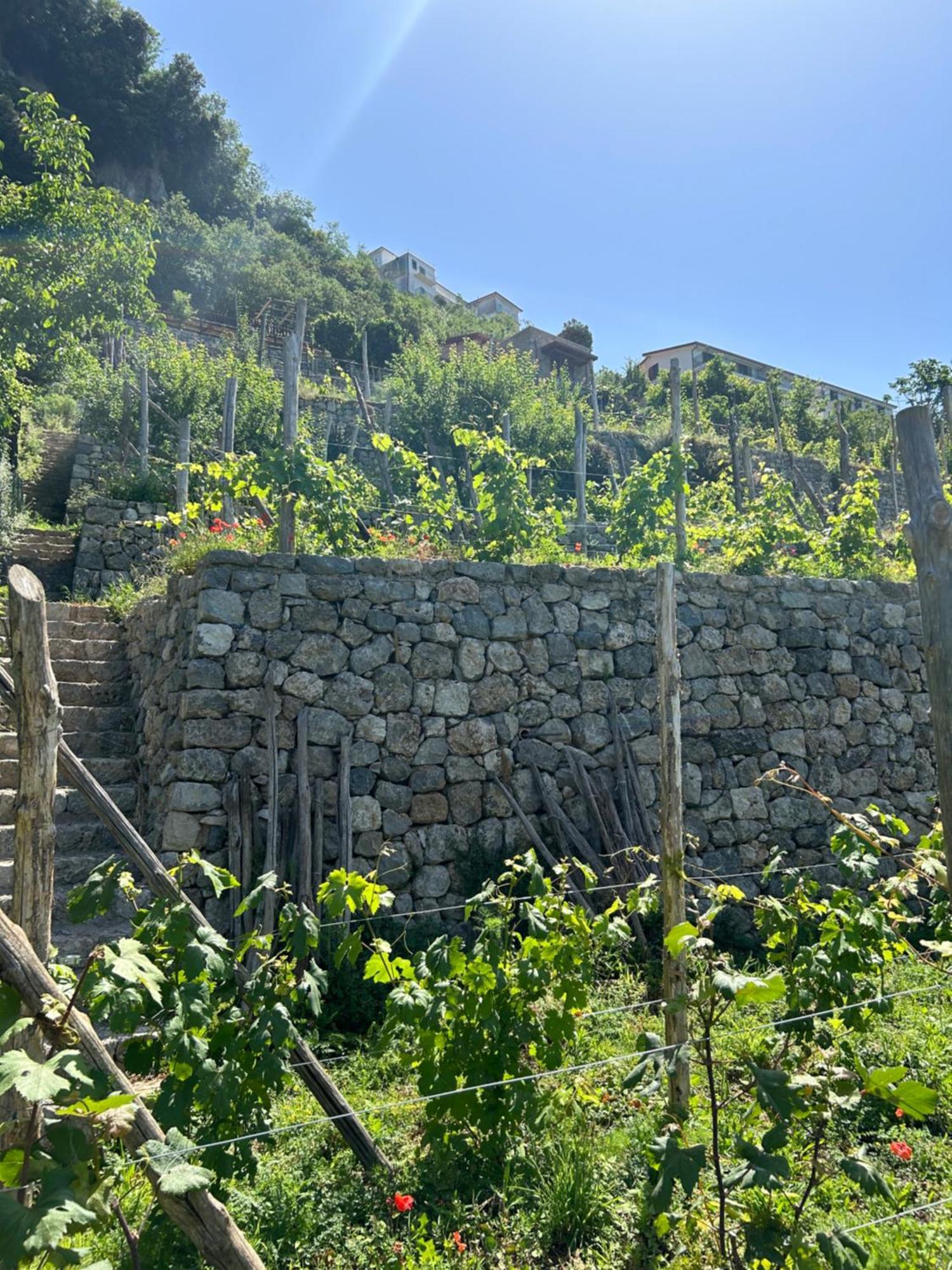 Agriturismo Orrido Di Pino Аджерола Екстер'єр фото